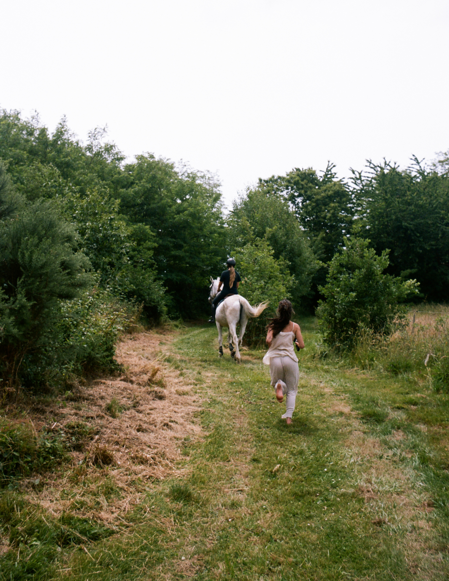 Running alongside a horse in the field — process